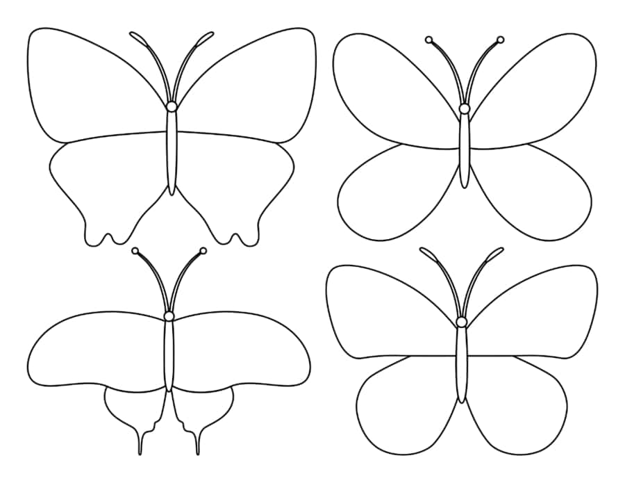 Four Butterfly Set Coloring Pages Pdf Free Vectors